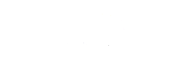 XINSA logo-2